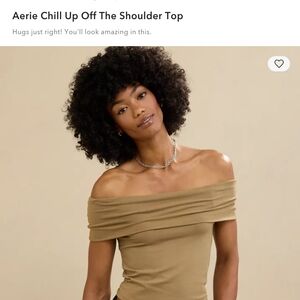Aerie Off-The-Shoulder Top in Brown